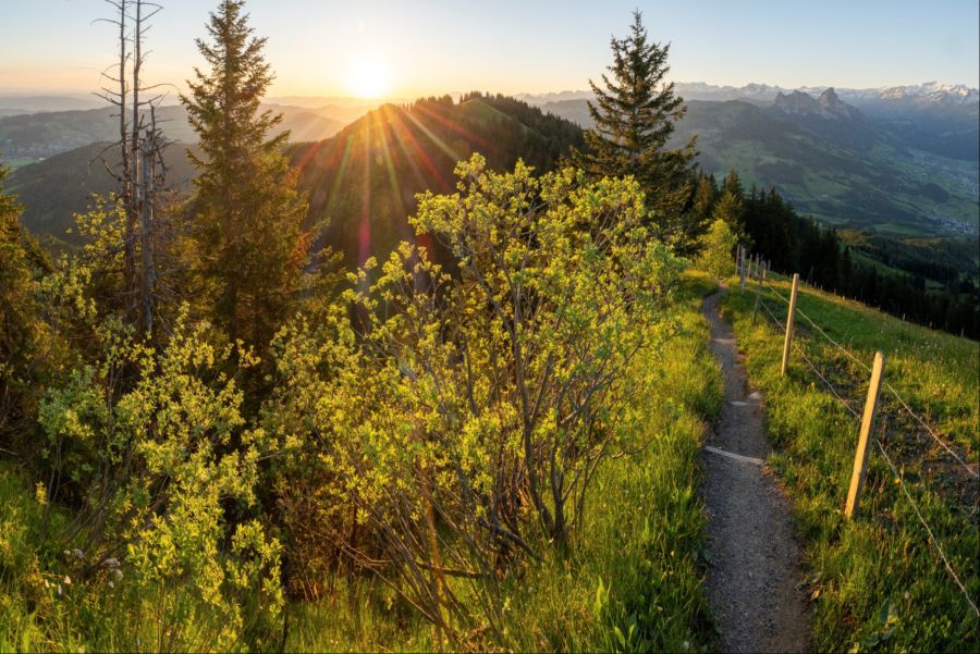 Alpli Zug Wanderung