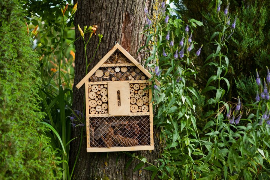 Insektenhotel an Baum im Garten