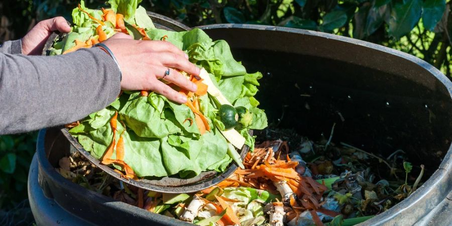 Biomülltonne Person wegwerfen Gemüse frisch