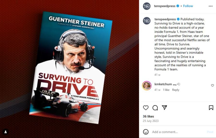 Formel 1 Günther Steiner