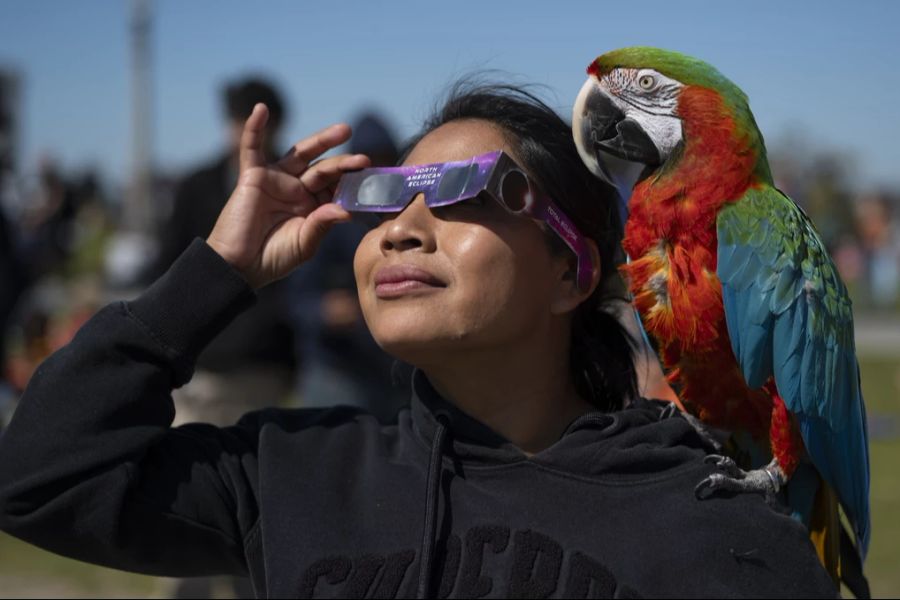 Isabel Franco und ihr Papagei Alex beobachten die Sonnenfinsternis in Los Angeles.