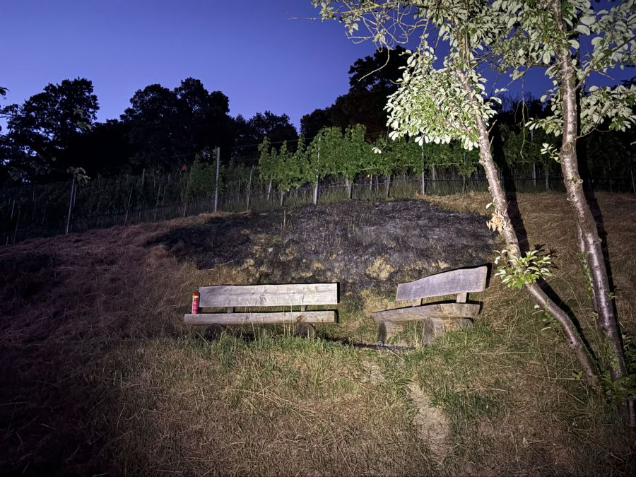 Brand auf Wiese