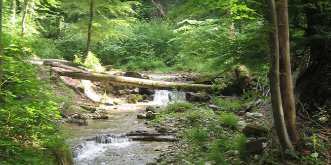 Wehrenbach
