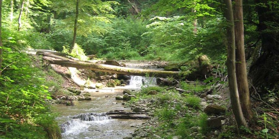 Wehrenbach
