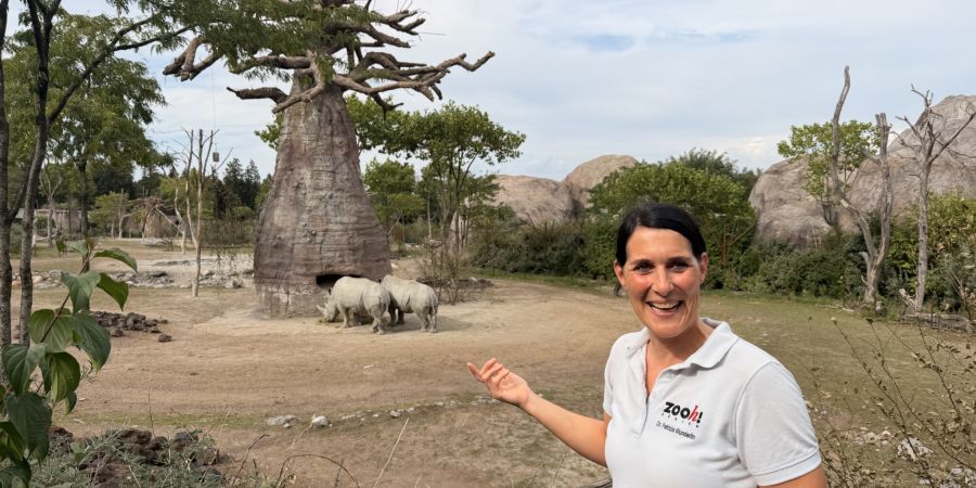 Tierisch nah dran im Zoo