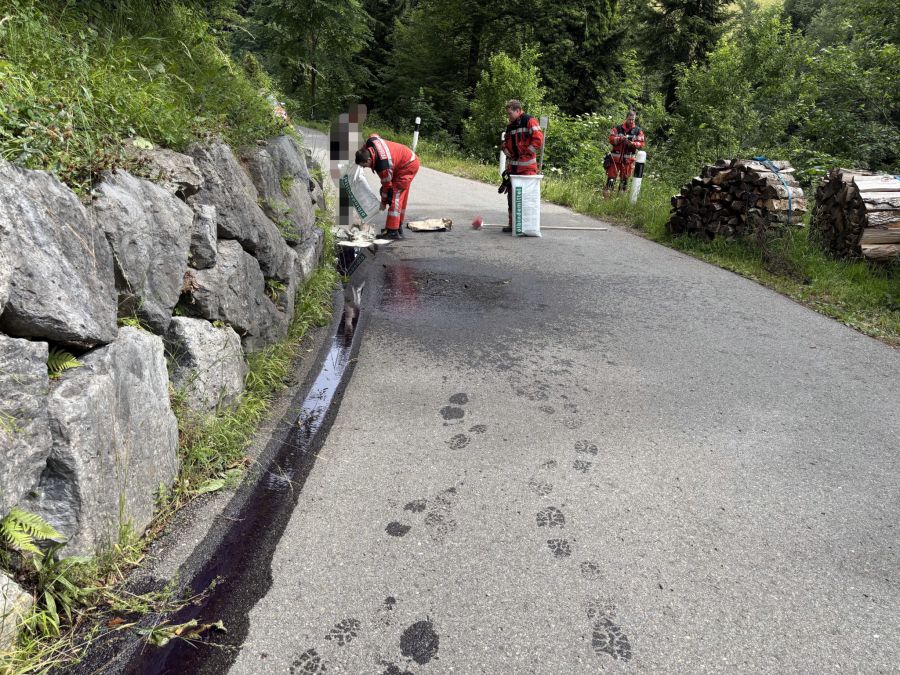 Verschmutzung St.Gallenkappel