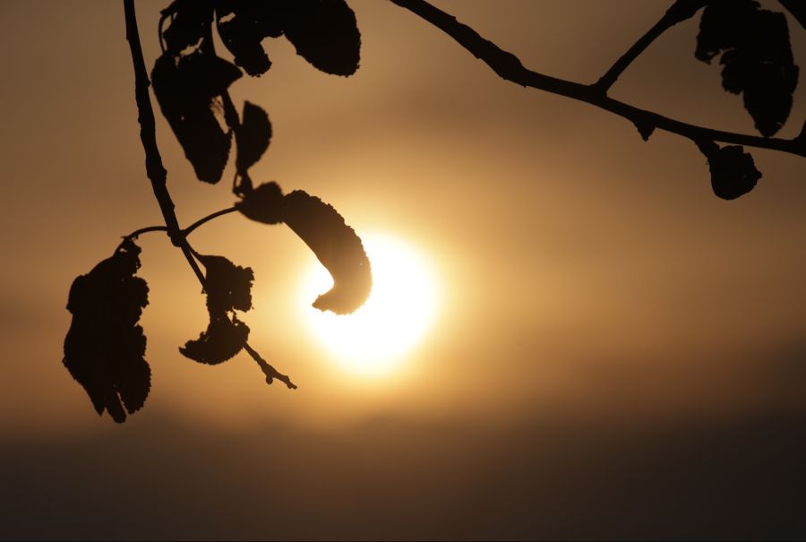 Sonne
