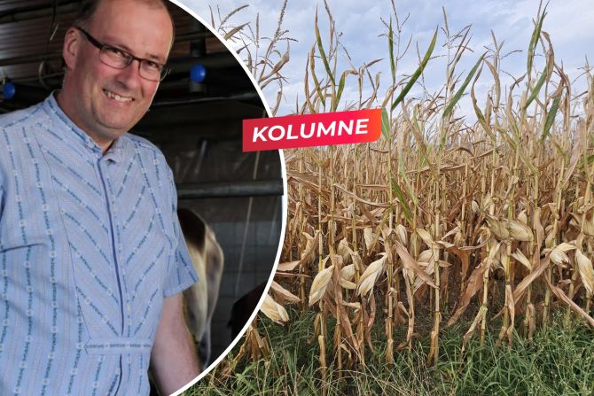 Markus Ritter ist Bauernpräsident und Nationalrat. Er schreibt regelmässig Kolumnen auf Nau.ch. - zVg