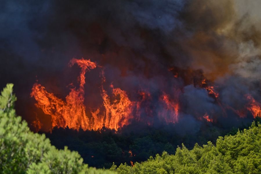Die Flammen schlagen weit über die Baumkronen hinaus in den Himmel über der betroffenen Region.
