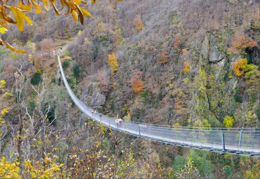 Über dem Wald von Sementina sorgt die weit gespannte Hängebrücke für einen besonders luftigen Abschnitt der Wanderung.