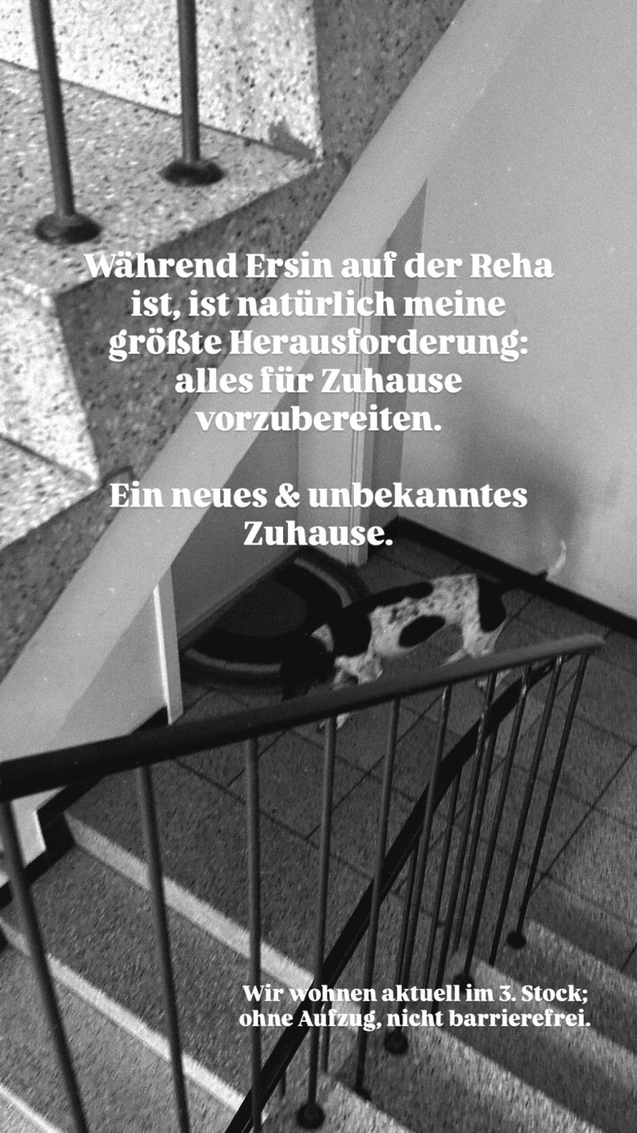 Die aktuelle Wohnung im dritten Stock ist nicht barrierefrei und hat keinen Lift. Seine Partnerin sucht deshalb ein neues Zuhause.