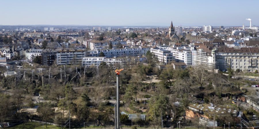 Aufgrund der Zolli-Bauarbeiten ist die Binningerstrasse in Richtung Basel für rund ein Jahr stadteinwärts für Autos gesperrt. Auf dem Foto von 2025 sind die Arbeiten für das neue Zo...