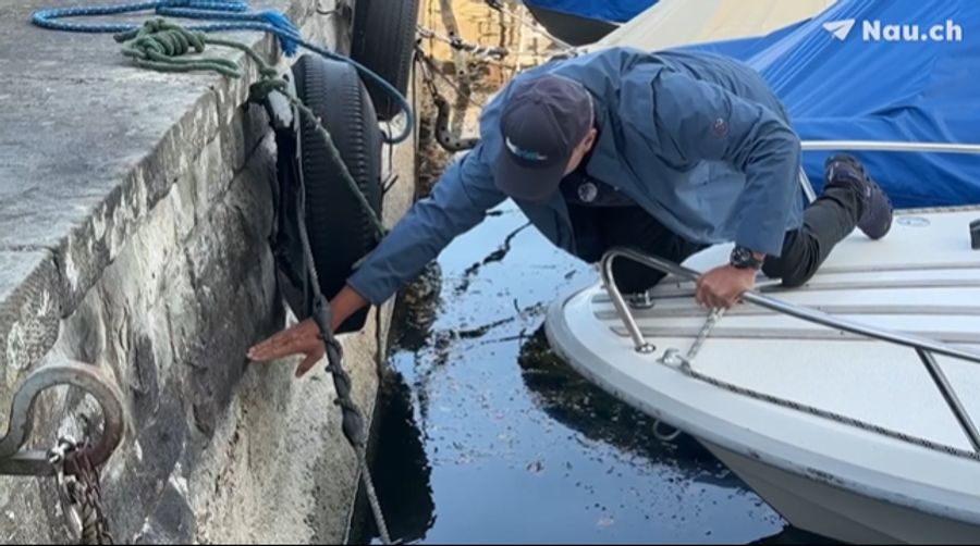 Bootsfahrlehrer René Chochard zeigt in Erlenbach ZH, auf welcher Höhe der Wasserpegel des Zürichsees normalerweise liegt.