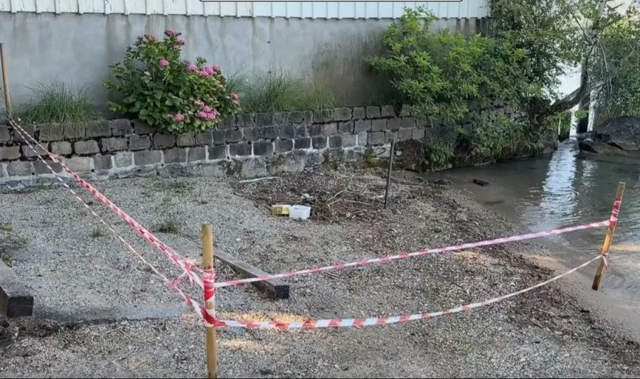 Damit das werdende Schwanen-Mami in aller Ruhe brüten kann, wurde der Bereich weiträumig abgesperrt.