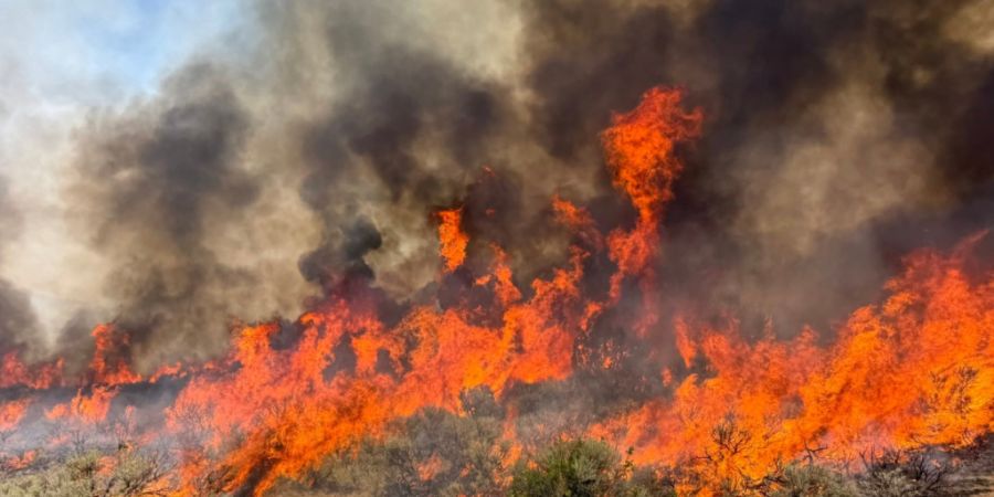 Viele Regionen in den USA haben derzeit mit Waldbränden zu kämpfen. Jetzt ist es in Utah zum Absturz eines Löschhelikopters gekommen.