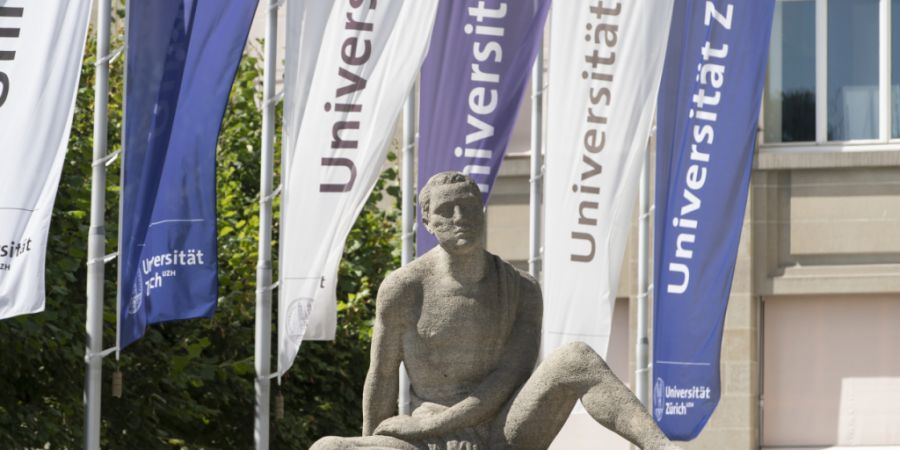 Das Mäusegehirn kann sich laut einer neuen Studie der Universität Zürich besser heilen als bisher bekannt. (Symbolbild)