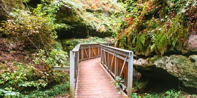 Mullerthal-Wanderweg in Luxemburg zwischen Echternach und Berdorf. Ferien