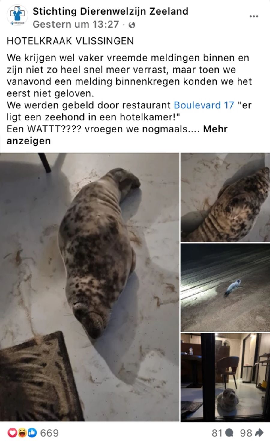 Seehund Hotelzimmer