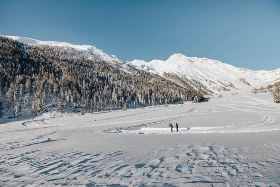 Wald Schnee Panorama Langläufer