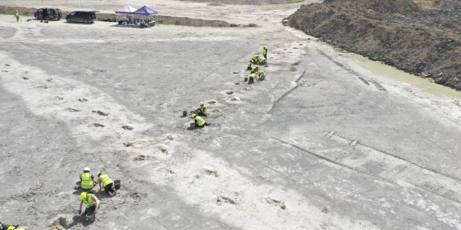 Britain Dinosaur Tracks