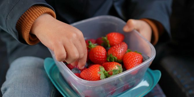 Erdbeeren in einer Plastikdose