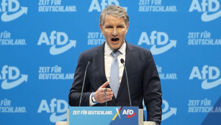 afd Höcke Parteitag Riesa