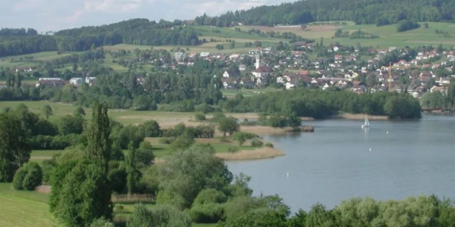 Hallwiler see Moor