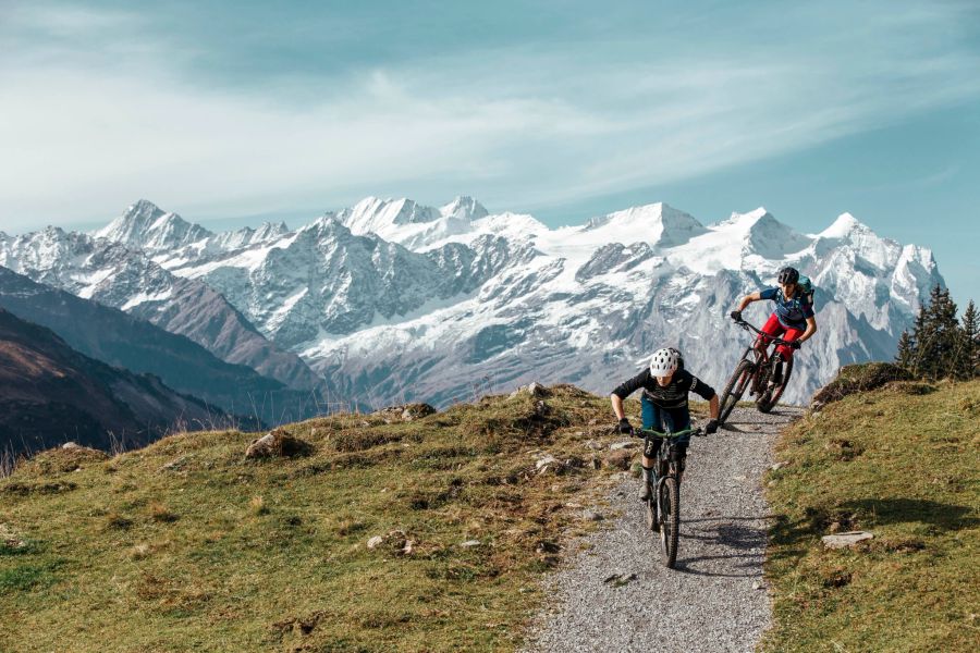 Mountainbike Engelberg Trails