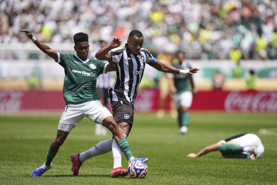 Klub-WM Botafogo Palmeiras