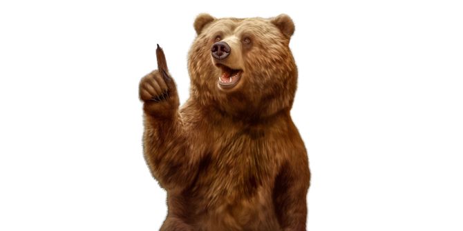 Apropos Bär