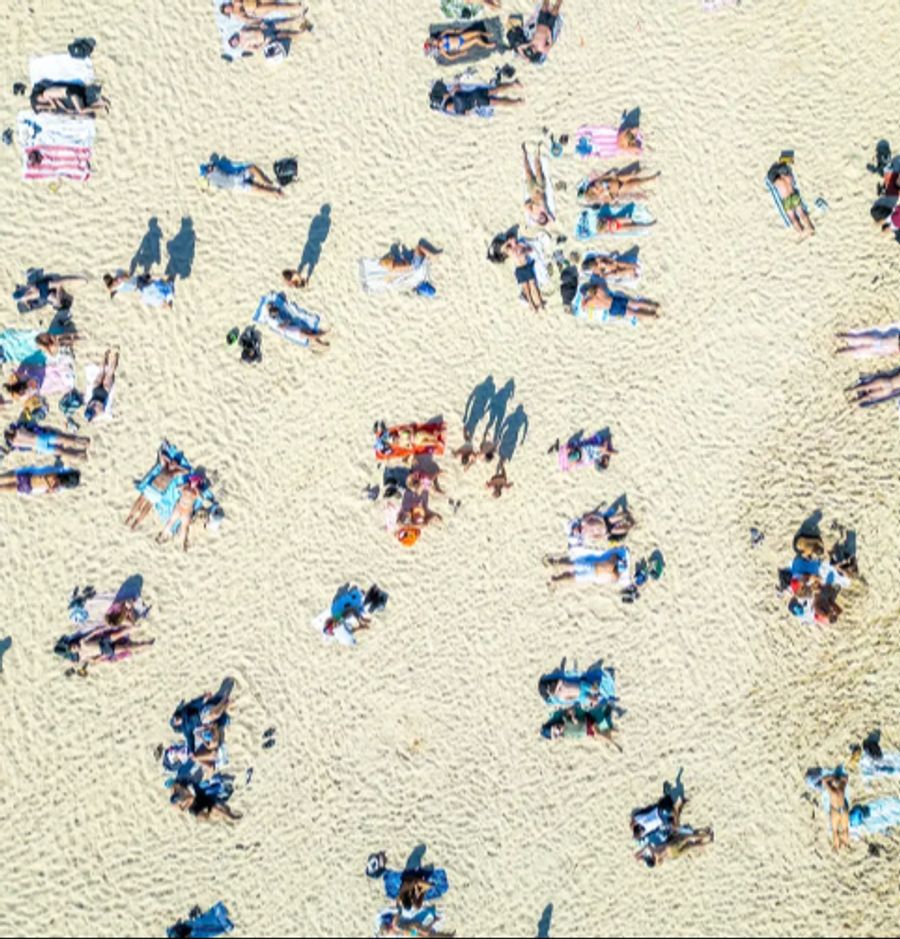 Bondi Beach
