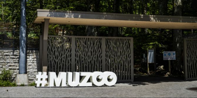muzoo