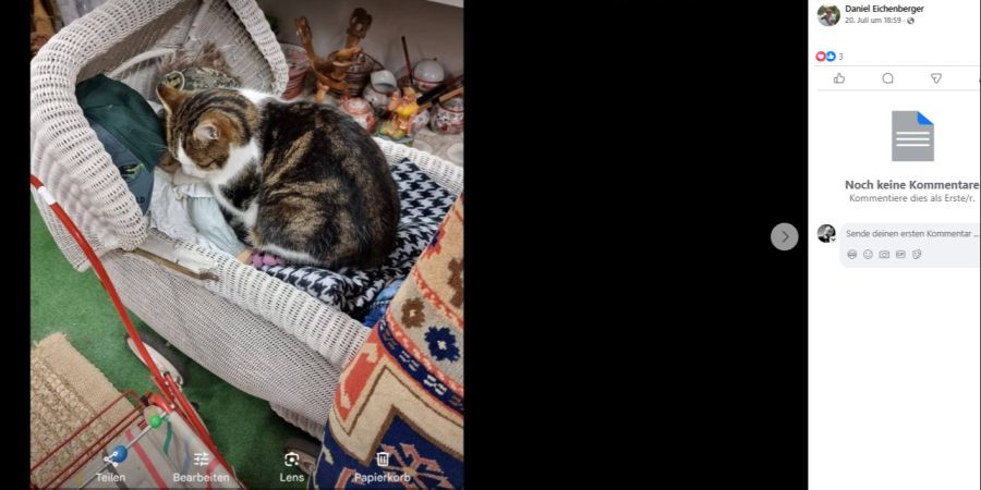 Kater Rhy-Brocki