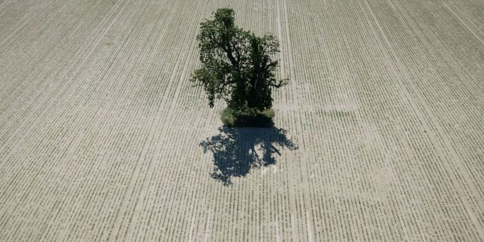 Weite Teile Europas leiden seit Jahren unter zunehmender Wasserknappheit. (Archivbild) Trockenheit in Deutschland