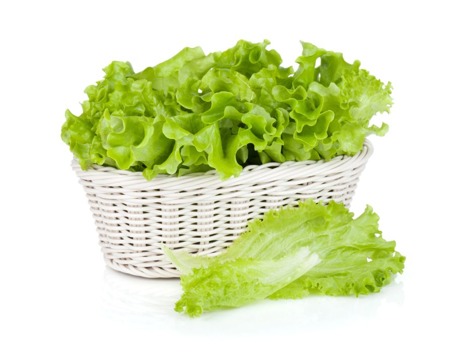 salat im korb