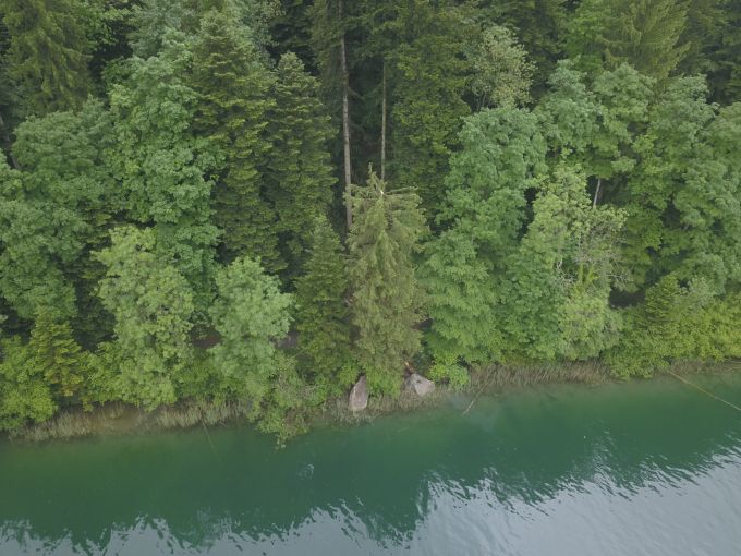 Die Drohnenaufnahme der abgelagerten grossen Felsblöcke im Uferbereich. Drohnenaufnahme
