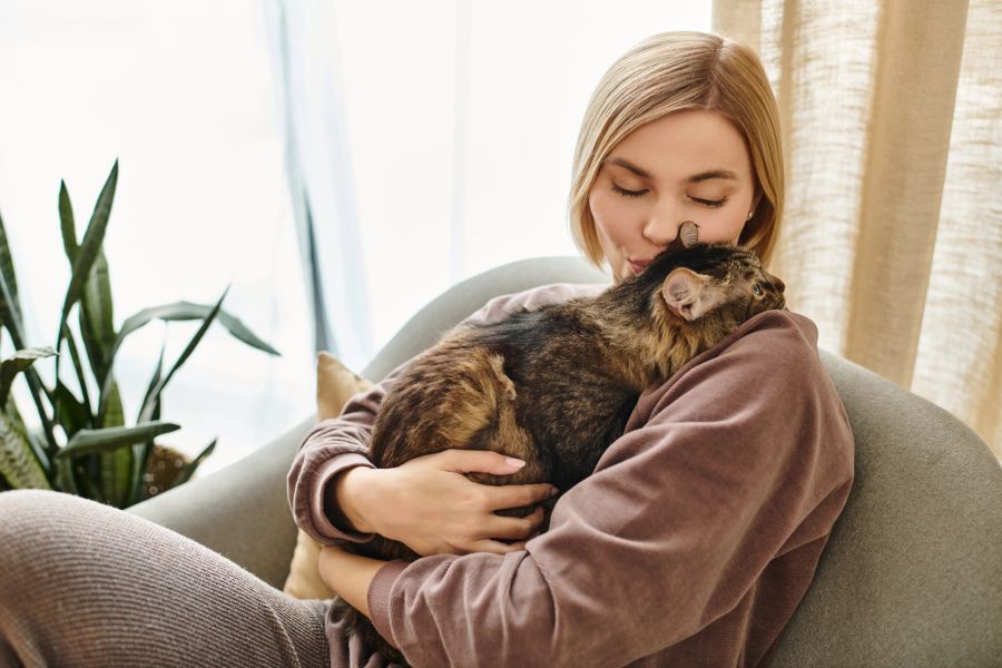 katzen liebe aufmerksamkeit