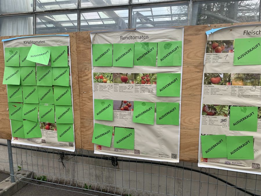 Die Tomatensetzlinge sind besonders beliebt.