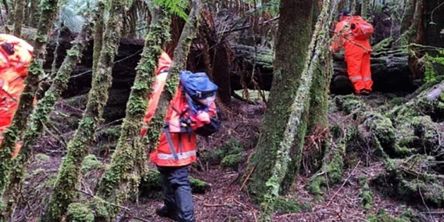 A supplied image obtained on Friday, June 30, 2023, of SES team members during search efforts for missing Belgian tourist Celine Cremer at Philosopher Falls near Waratah in northwest Ta...