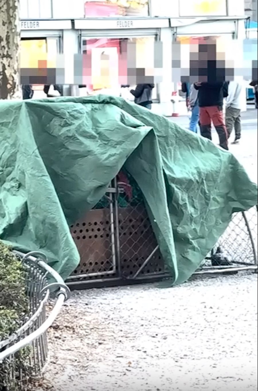 Kurz darauf deckt der Wildhüter den Taubenkäfig mit einer grünen Decke ab.