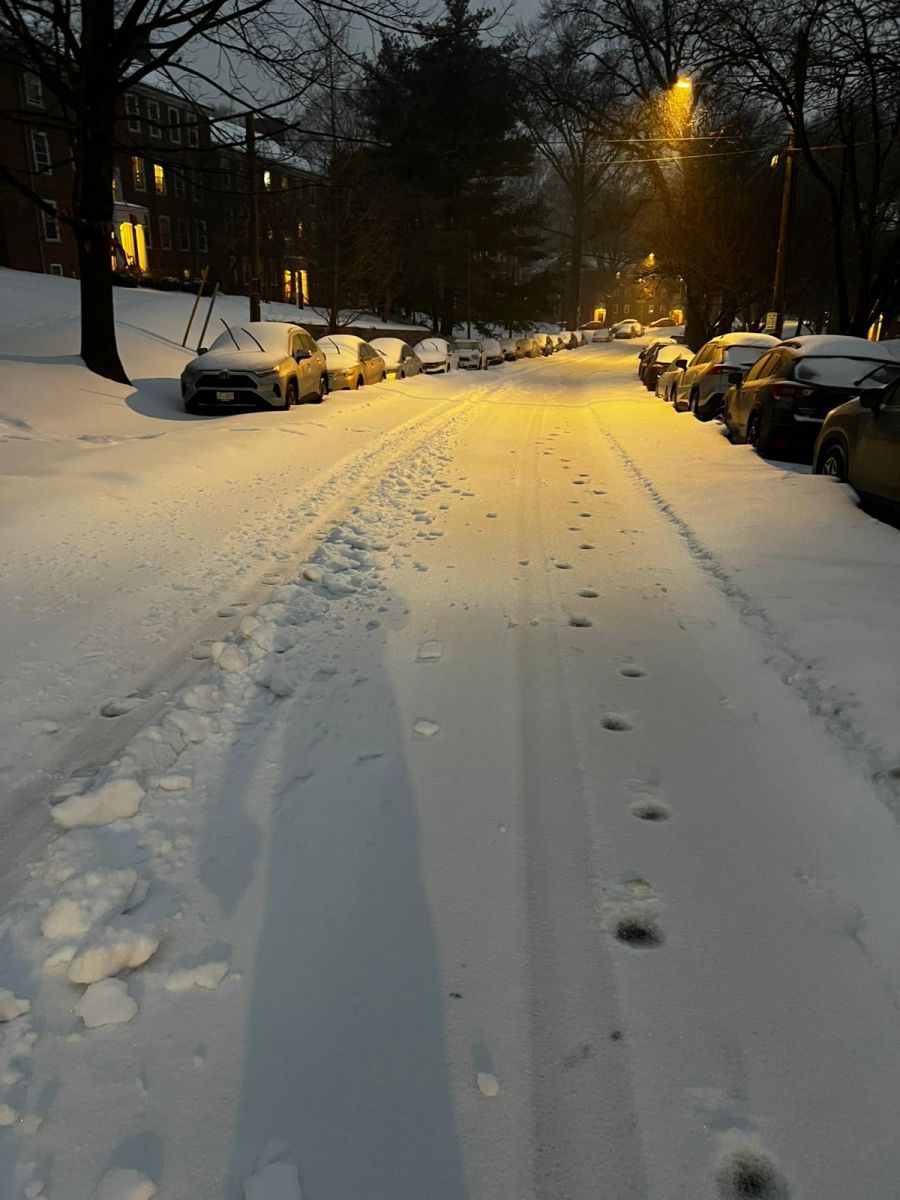 Doch: «Spätestens als ich draussen war, merkte ich, warum man besser zu Hause bleiben sollte.»