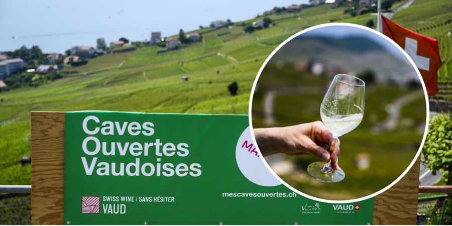 Caves Ouvertes
