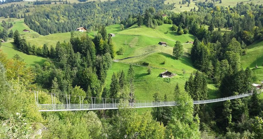 Hohstalden Adelboden Hängebrücke