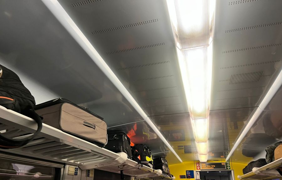 Die Gepäckablage bietet auch Platz für grosse Gepäckstücke.