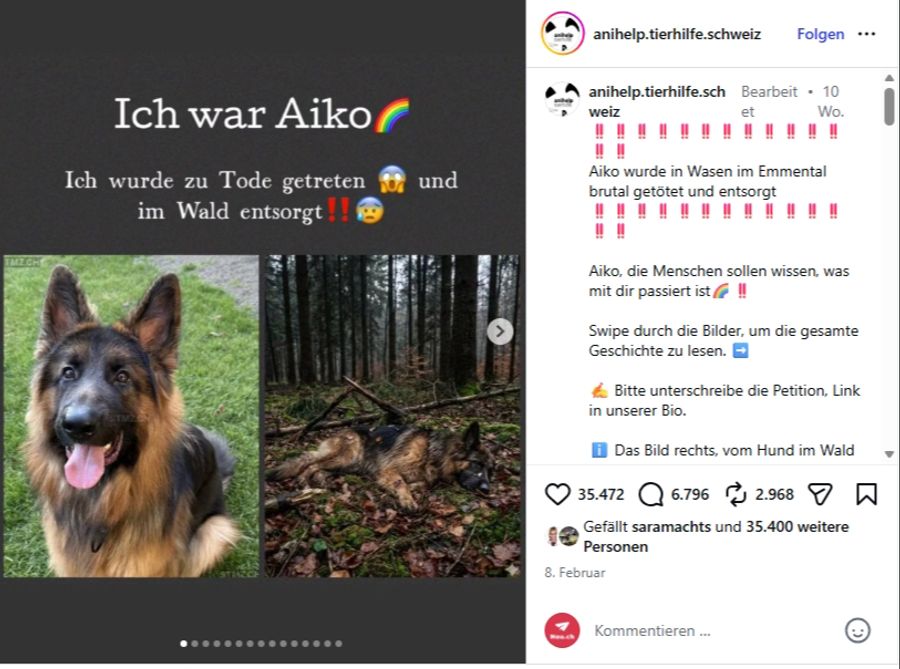 Der Tod von Hund Aiko wurde auf Instagram tausendfach kommentiert.