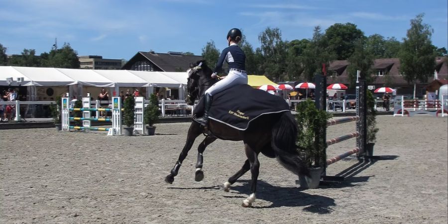 Reitverein Niederscherli