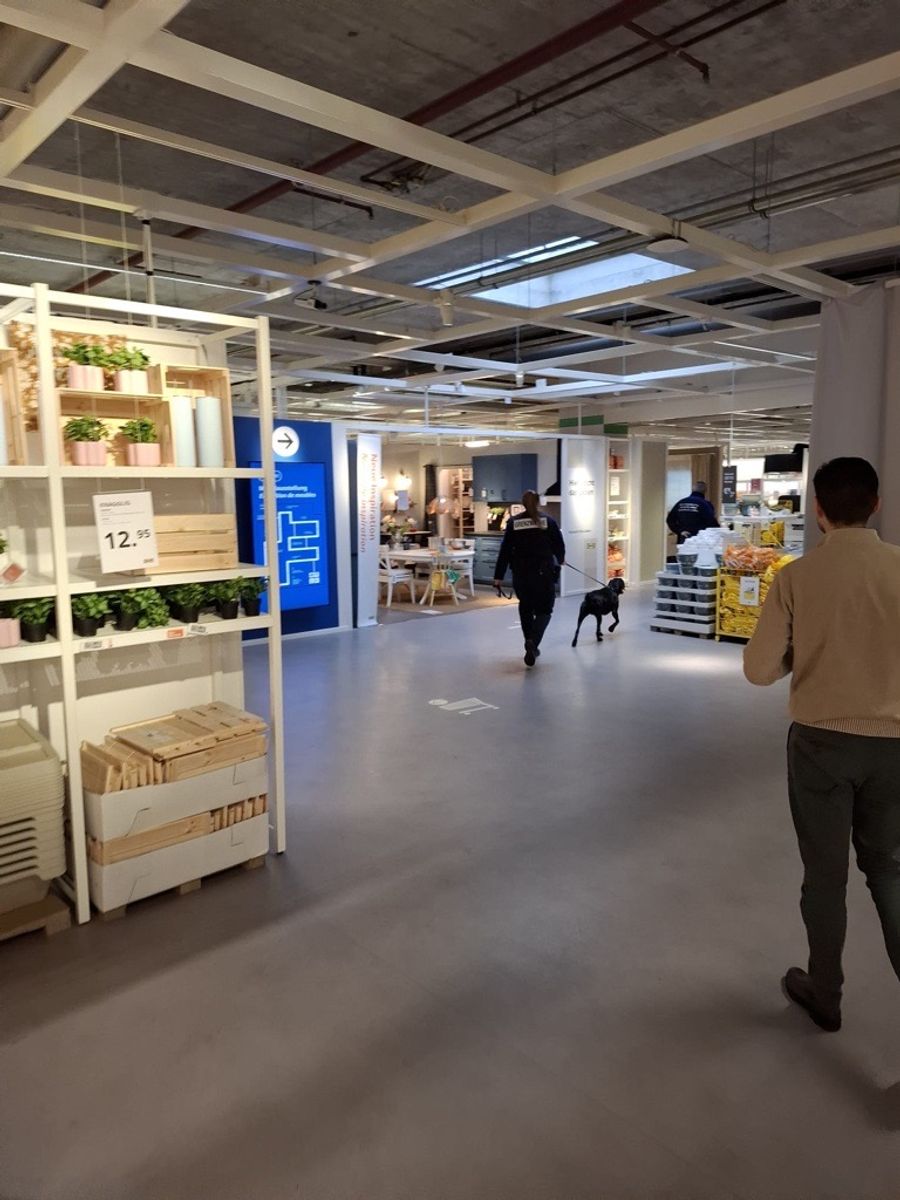 Die Grenzwache ist in der Ikea-Filiale mit Spürhunden unterwegs.