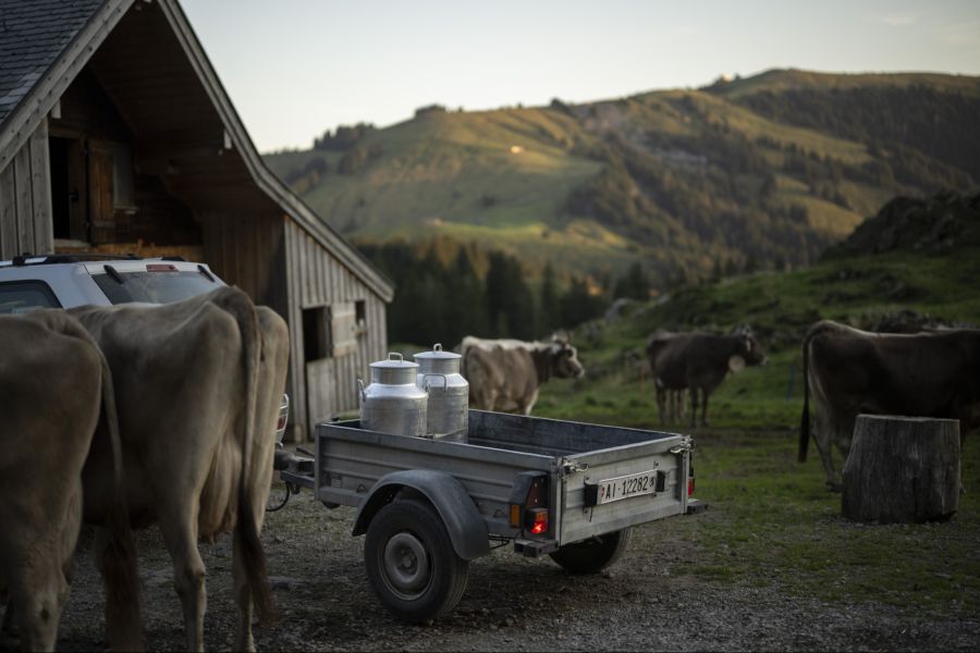 Dieses Jahr ist der Mangel auf den Schweizer Alpen besonders akut.