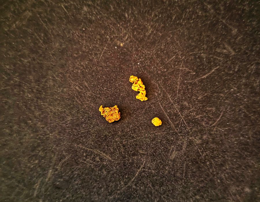 Bei seiner Goldsuche mit dem Metalldetektor fand er an einem Tag drei kleine Gold-Nuggets.