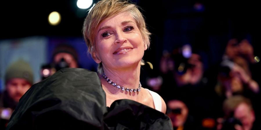 Sharon Stone will eine Bösewichtrolle übernehmen